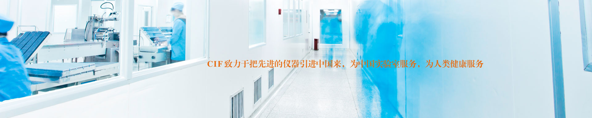 示例图片二